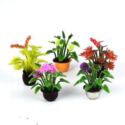 5 Packs Dollhouse Miniature Flower Pot Plant Model Garden Sand Table Decor