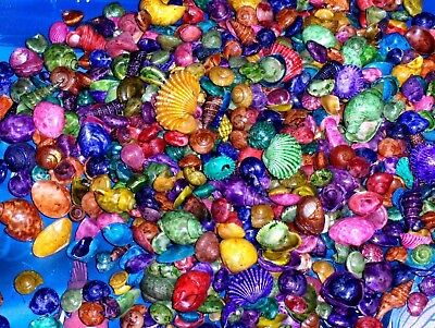 1/2 Lb Small  Dyed Multi Colored Mixed  Sea Shells Beach  Decor Nautical Craft