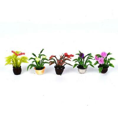 5pcs Dollhouse Miniature Flower Pot Plant Model Garden Home Sand Table Decor
