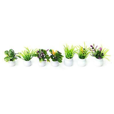 Set Of 7 Dollhouse Miniature Pot Flowers Landscape Diy Sand Table Plant Model